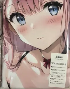タペストリー　B1サイズ約103㎝×73㎝