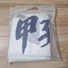 甲子園ロゴ入りレインポンチョ