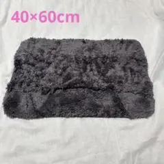 Item thumbnail for item 935621c5-d228-4113-95a8-709db4d48adb