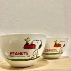 スヌーピー 丼 ボウル ローソン