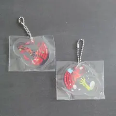 オーバーレイアクリルチャーム 仮面ライダーオーズ