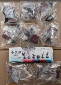 ネイチャーテクニカラー 小笠原 特装版 バラ 8種セット ガチャ