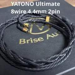 初代YATONO 2025年最新】brise audio yatonoの人気アイテム - メルカリ