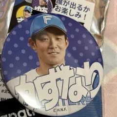 石井一成　バッジ