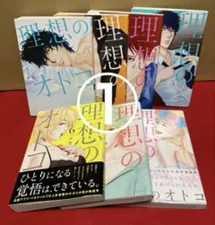 ①理想のオトコ　１〜７巻セットの１,３,５,７巻
