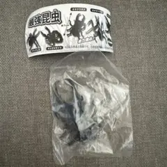 最強昆虫　オオクワガタ