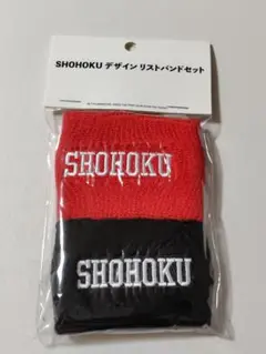 【未使用】THE FIRST SLAM DUNK　リストバンドセット