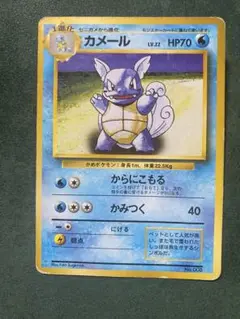 【傷あり特価】カメール 初期　旧裏　マークなし