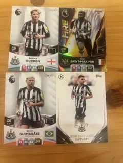 Item thumbnail for item 12df6964-2b54-4788-983b-6bfdf97ce0fa