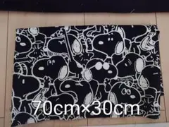49★スヌーピー柄生地 70cm×30cm