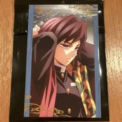 鬼滅の刃 無限城編 描き下ろしイラスト ランダムフォトカードA 冨岡義勇