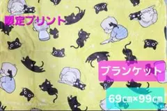 親父と猫のブランケット