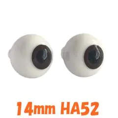 Item thumbnail for item ffcd0bd5-00aa-4927-b02e-69b4ee69391c