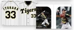 阪神タイガースくじ クリアファイル 糸原