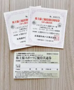中央バス ニセコアンヌプリ天狗山スキー場 2枚 東急不動産株主優待共通券1枚