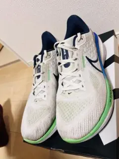 Item thumbnail for item 7c2d4be3-219a-422e-ae2a-384ab18a512e