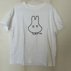 Item thumbnail for item 76d21087-e5c6-4a56-b65e-4d2c00f89df0
