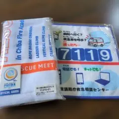 Item thumbnail for item b3f61902-abb7-4064-9021-177da029abf5