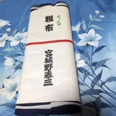 Item thumbnail for item 00d899c8-9d4e-4fa3-b5a8-304a81a2b852