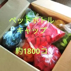 ペットボトルキャップ　大量　約1800個