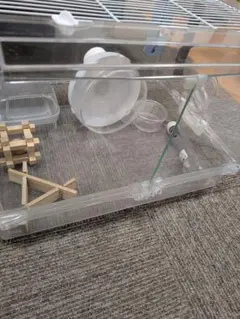 Item thumbnail for item d936d810-18e8-4b0b-9788-157546bdb69f