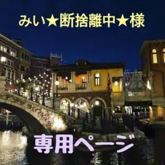 ♡ みい★断捨離中★専用ページ♡