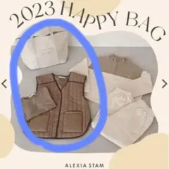 未開封 アリシアスタン 福袋 alexia stam happybag