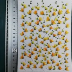 メラスフェルラ　 NO27 2025年 つぼみ付き 押し花 押し花素材