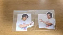 THE RAMPAGE　武知海青　RAVERS DAY　ロト