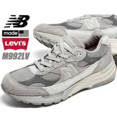 Item thumbnail for item f21ddf0b-b736-4730-95cf-e3dcfea8eadd