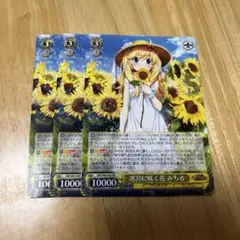 ヴァイスシュヴァルツ 迷宮に咲く花 みちる