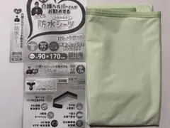 Item thumbnail for item 5fd6672b-800f-49e4-a7c6-6d665673ae3e