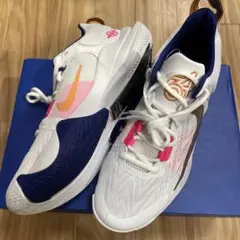NIKE Giannis immortality 2