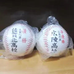 第89回甲子園記念ボール 2007年
