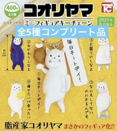 コオリヤマ　ミニフィギュアキーチェーン　全5種コンプリート品