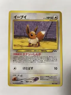 イーブイ_プレミアムファイル2 PROMO 第2世代　プロモ　旧裏