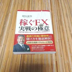 稼ぐFX実戦の極意