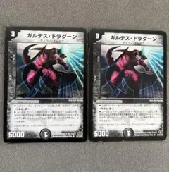 ガルデスドラグーン 2枚セット