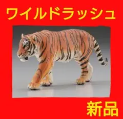 Item thumbnail for item 9d143100-bc99-4ca2-917c-f039117543fb