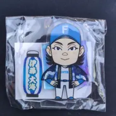北海道日本ハムファイターズ　ファイターズガチャ伊藤大海選手