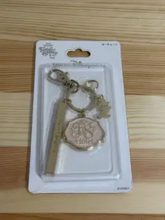 ファンタジースプリングス キーチェーン