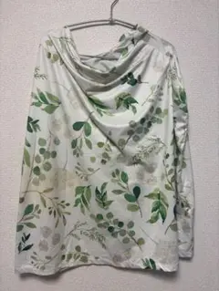 Item thumbnail for item 0bf2fca2-e0ae-4b46-9484-df89769fe314