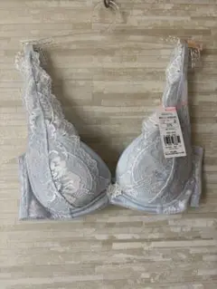 C75」トリンプ チャーミングラマー スリムラインDeepV 雪の女王ブラジャー