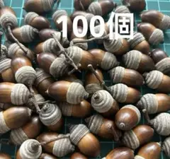 縞々帽子付きどんぐり　100個