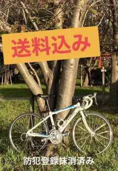 BRIDGESTONE ANCHOR RJ1ジュニア