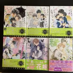 BL小説　6冊セット　①