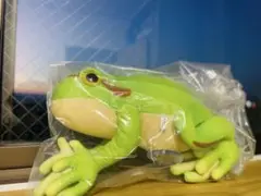 【新品未開封】カエルのぬいぐるみ