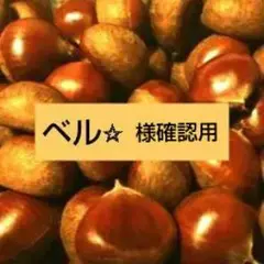Item thumbnail for item f3c8b148-65a8-4bb7-81f6-2181f9515785