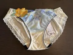 Item thumbnail for item ff74e3db-abb2-40cb-b76b-2e5bb5224412