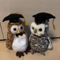 【希少•入手困難】tyビーニーベイビーズ フクロウぬいぐるみ　※限定品 卒業フクロウ ビーニーベイビーズ ベビーロット 90年代